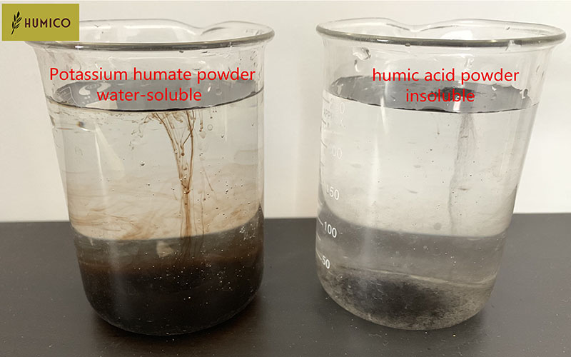 The Different between the humic acid and potassium humate